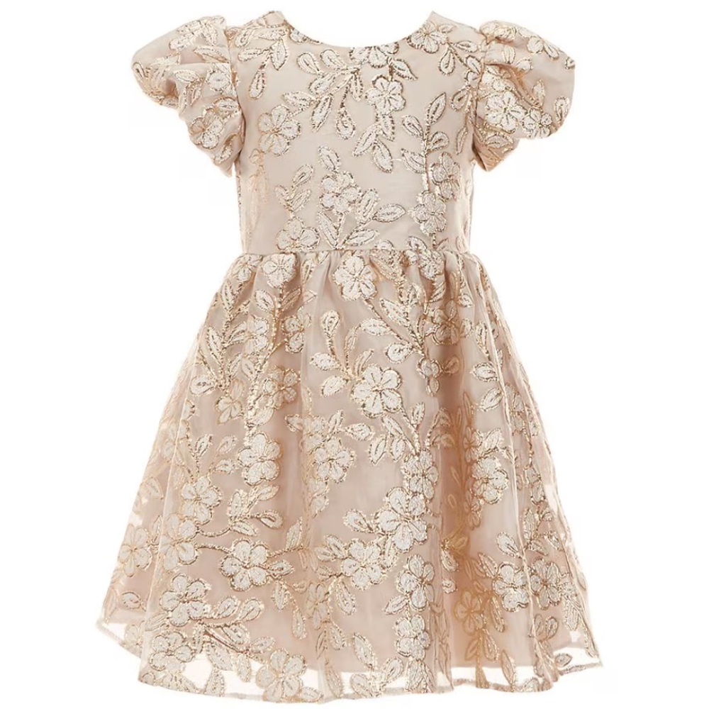 Puff Sleeve Floral Organza Fit & Flare Party Dress 2T
